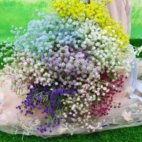 Plantas artificiales de Gypsophila para decoración del hogar, adornos florales realistas para aliento de bebé, bricolaje, 108 cabezas - details 1