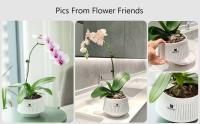 Redes de orquídeas con agujeros, bandejas de té, replantación de plantas, ETA para jardines con buena drenaje interior y exterior. - details 7