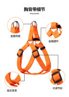 Correa para caminar para perros grandes, medianos y pequeños, correas para el pecho, collares, suministros para mascotas de piel dorada de peluche - details 2