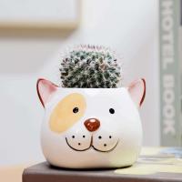1 oso de dibujos animados en forma de animal de cerámica de estilo nórdico, gato, cabeza de vaca, mini planta jugosa, bonsái ETA, decoración del hogar - details 6