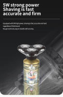 Kemei-afeitadora de Metal con Cabeza de Buda para hombre, máquina de afeitar Facial lavable, en seco y húmedo, 3 cabezales, recargable, 6710 - details 5