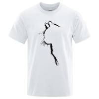 Camiseta de algodón con estampado de gato para hombre, camisa de manga corta de verano, ropa de calle Hip Hop, divertida - details 11