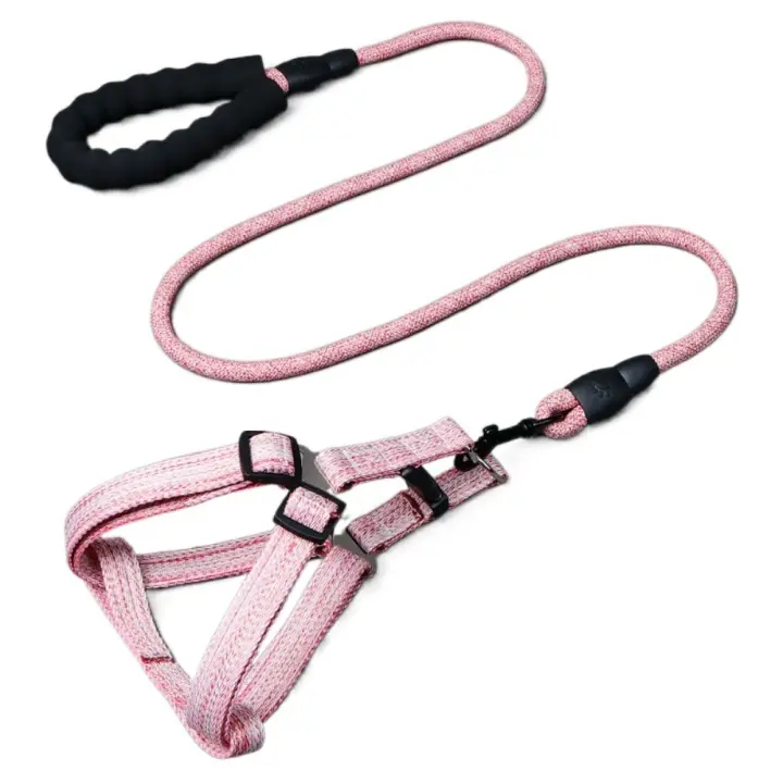 Conjunto de arnés y correa ajustables para perros, correa suave para el pecho para mascotas a prueba de Escape, Collar ligero y cómodo para gatos, correa para cachorros - 1