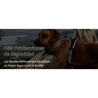 Correa de Perro Antipulla Media Chaleco Acolchado Estable con Anillos de Pecho y Espalda - details 9