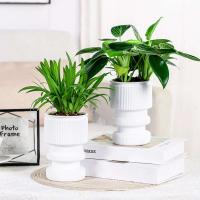 Flor hidropónica perezosa, absorción automática de agua, autorriego, planta de plástico ETA, decoración del jardín del hogar - details 7