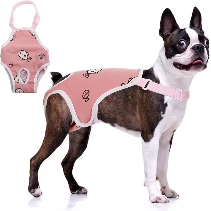 Pañal sanitario para perro, bragas con tirantes, pantalones fisiológicos para mascotas - 1