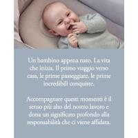 Inglesina