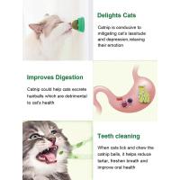 Juguetes de Catnip de Platavina para Gatos Bolas Energéticas Extra para Gatitos Limpieza Dental - details 5