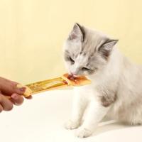 Comedero para Gatos Herramienta de Alimentación Líquida sin Residuos Cuchara para Aperitivos Líquidos para Mascotas Exprimidor de Alimentos Suministros para Mascotas - details 3