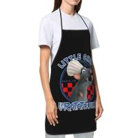 Unisex Ratatouille Remy con cuchara delantal adultos mujeres hombres Chef Tablier cocina para cocinar película animada pintura - details 42