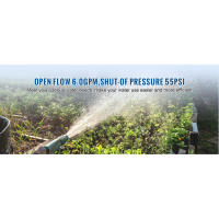 YOUNGTREE Bomba de diafragma de agua dulce sin escobillas, 110 V, transferencia de presión, servicio continuo, 6,0 GPM, 55 PSI, bajo demanda, 110 voltios CA para - details 6