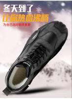 750_04.jpg