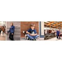Kerbl Pet Easy Climb Steps 45 35 x 34 cm, hasta 50 kg - details 0
