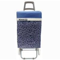 Carrito de Compra Plegable Ligero 100x41x33cm, Resistente con 2 Ruedas, Capacidad de Carga 48 Litros - Ideal para Comprar - details 4