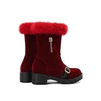 Nuevas botas de nieve casuales de tacón bajo botas bajas de borde peludo de gran tamaño - details 2