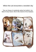 Un trozo de material de cáñamo de imitación natural, el palo molar de gatito es rico en hierba gatera C010 - details 2