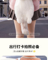 Nueva Muñeca de Celebritad Internet Muñeca de Peluche de Gato Montés de Café - details 3