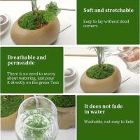 50G simulación DIY planta decoración verde PAISE musgo césped Artificial - details 4