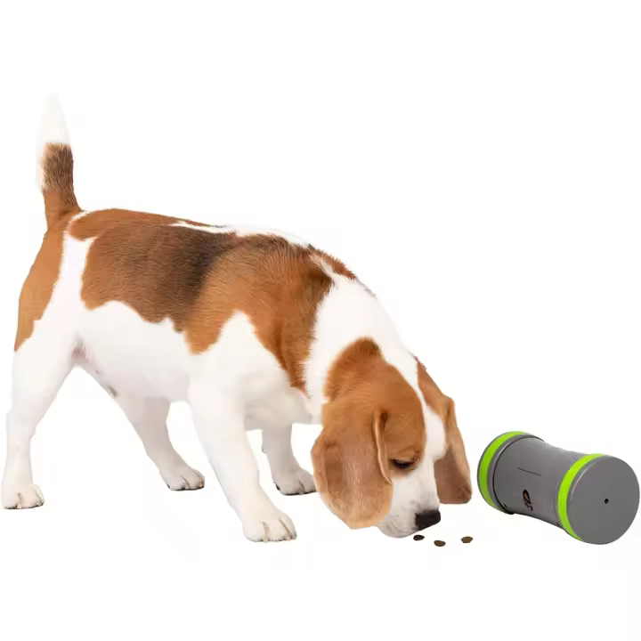 Petsafe Kibble Chase - Dispensador de Comida y Golosinas para Perros, Juguete Interactivo Inteligente para Perros, Funciona con Pilas, Resistente - 1