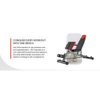 Peso FID multifuncional de forma más fina para un entrenamiento corporal completo todo en uno: extensión de espalda hiper, silla romana, asiento abdominal ajustable - details 0