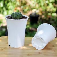 Lavabo de pelo antiguo para plantas suculentas, lavabo Vientiane, maceta de plástico redonda gruesa mate de cintura alta, jardinería en blanco y negro - details 4