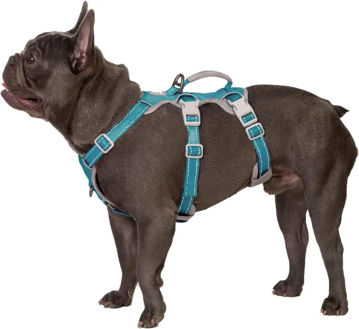 Huntboo Arneses para Perros a Prueba de Escape, Arnés para Perros Antideslizante a Prueba de Escape con Asa Acolchada, Chaleco Transpirable y Ajustable para Perros Grandes para Caminar, Entrenar y Correr - 1
