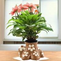 Maceta nórdica Ins para arte corporal, maceta decorativa hecha a mano de resina para suculentas, maceta de escritorio resistente a la corrosión, decoración del hogar - details 4