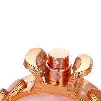 Perfume de Marca DSH Fragancia Duradera y Fresca Aromaterapia y Fragancia para el Hogar - details 11