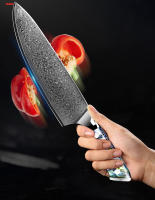 Cuchillo de Chef de Acero Damasco 9" VG10 Aguja de Corte de Acero Japonés - details 9