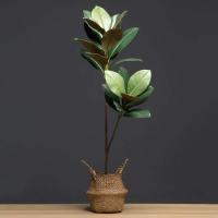 Decoración de Campo Verde Artificial de Alta Calidad 105cm, Ramas de Magnolia Falsas, Hojas de Goma Plástica, 2 Garfos - details 6