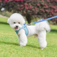Juego de arnés correa Pincher caminar al aire libre, perros pequeños y medianos, chaleco para mascotas, arneses, accesorios - details 8
