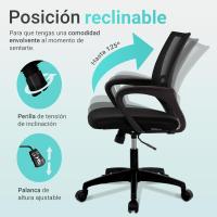 Silla de Escritorio Ergonómica Oficina con Soporte Lumbar, Estructura de Plástico, Transpirable, Ruedas Giratorias 360° Soporte hasta 120kg - details 4