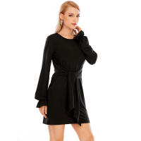 Europa, América Primavera y verano Moda Nueva ropa de mujer Tallas grandes Color sólido Manga larga Cordón Vestido casual Falda - details 13