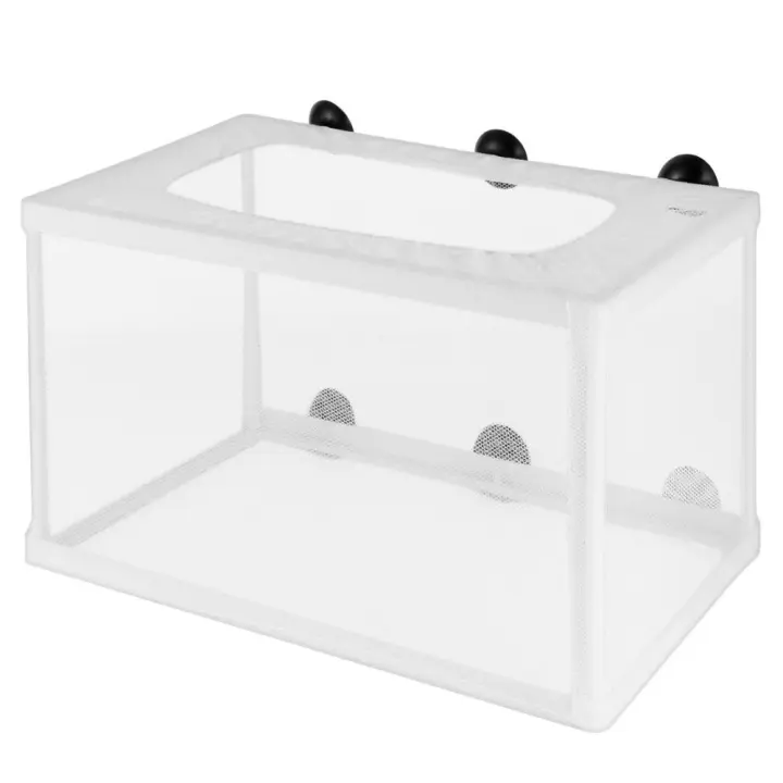 Caja cría de peces para acuario, colgante con ventosas, incubadora de pecera, incubadora de peces para bebés extraíble - 1