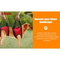 Arnés para perro discapacitado