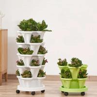 Nuevo Maceta apilable para plantas de plántulas, máquina de siembra de fresas de plástico, - details 3