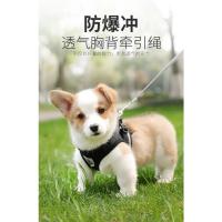 Correa de arnés ajustable para perros Collar para cachorros y perros pequeños y medianos - details 4