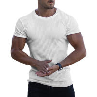 Muscleguys Camiseta de Punto Manga Corta a Rayas, Ajuste Delgado, Ropa de Gimnasio de Verano para Hombres - details 6
