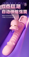 Juguetes sexuales, palitos de succión, vibradores, masturbadores, artefactos, juguetes sexuales femeninos, productos sexuales para adultos - details 6