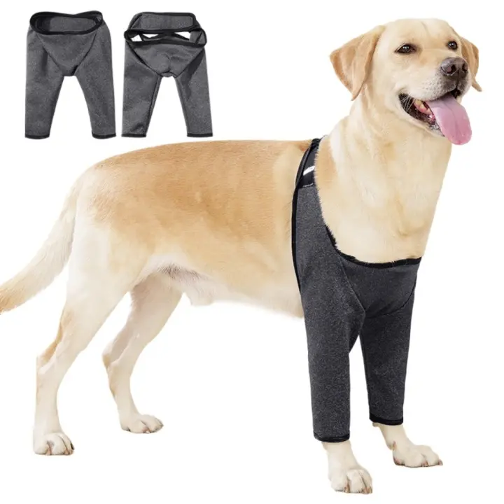 Manga de soporte de pierna de perro ajustable de 6 tamaños, rodilleras elásticas transpirables para perros, almohadilla suave antipérdida para recuperación de lesiones de perros, suministros para mascotas - 1