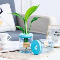 Flor hidropónica transparente ETA, contenedor de agua para plantar, jarrón de perezoso, plantas de mesa, bonsái, oficina, decoración del hogar - details 0