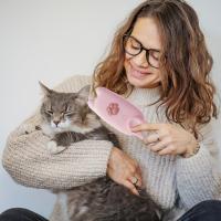 Cepillo para gatos, cepillo de limpieza multiusos con peine húmedo para gatos, cepillo general para gatos con agua, cepillo para gatos para pantalones cortos, MED Anti-Flying P - details 1