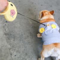 Correa retráctil de nailon para perro Chihuahua, Collar de ruleta para caminar con extensión automática, cuerda de tracción duradera de 5M para exteriores - details 2