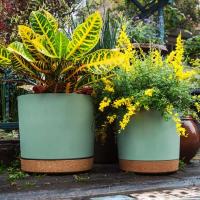 ETA interior circular grande de plástico para plantas jugosas, bonsái eterno con bandeja de drenaje, decoración del hogar y jardín - details 12