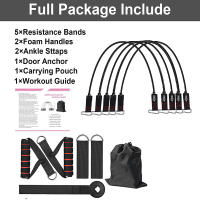 Set De Bandas De Resistencia Para Ejercicio 5 Tubos Con Anclaje En Puerta Manijas Para Piernas Y Tornillos De Tobillo Barril De Fitness - details 2