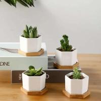 Bonsái blanco geométrico cerámica cuadrado pequeño y jugoso cactus moderno ETA, bandeja de bambú - details 3