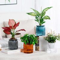 Mesa de comedor de riego automático de plantas jugosas de plástico con flores ETA, decoración de bonsái para el hogar, decoración moderna - details 0