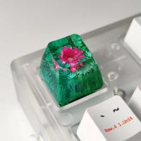 Teclado nical DIY, resina personalizada, chica bonita personalizada, teclas ESC, regalo, teclas individuales SA wer - details 1