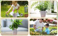 Maceta transparente de 100 Uds., maceta hortícola de plástico duradero de 5 pulgadas, contenedor de plántulas de plantas pequeñas - details 2