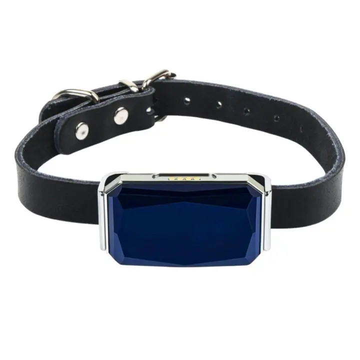 Localizador GPS inteligente portátil de doble propósito para mascotas, Collar de ubicación GPS Universal para gatos y perros, localizador de posicionamiento - 1